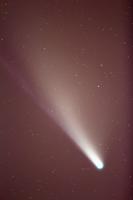 Komet ima dva repa -- plinskega in prašnega. Foto: Oskar, 20. 7. 2020